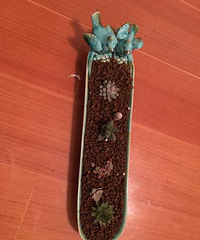 ϲ���ͺã��󲻹���Ҫ��