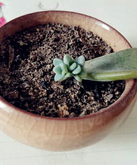 ���������Ȧ��һ�������ҺͶ���Ĺ���~