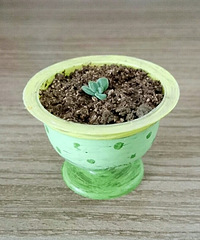 ���������Ȧ��һ�������ҺͶ���Ĺ���~