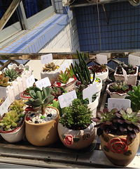 ���������Ȧ��һ����ɹɹ�ҵ���