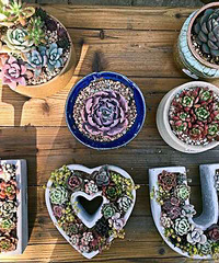 ���������Ȧ��һ����+�����ɹ�û�������