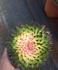 ���⽻������ߴ�����˵ļ����;���