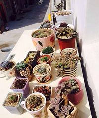 �Ҽ�����