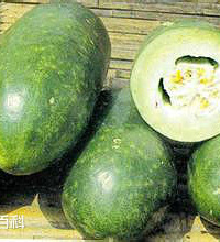 冬瓜 冬瓜的主要价值