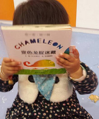 ����ɫ��׽�Բء�����������С���أ����Ա�ɸ�����ɫ