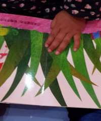 ����ɫ��׽�Բء�����������С���أ����Ա�ɸ�����ɫ