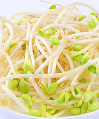 吃黄豆芽的注意事项,宝妈须知~