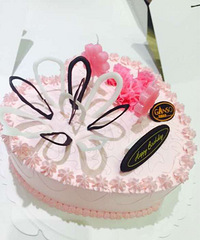 ���տ���