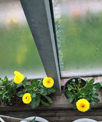 ���������Ȧ��һ����+����+����+�໨