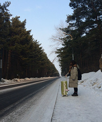 【带你去漠河】一路向北