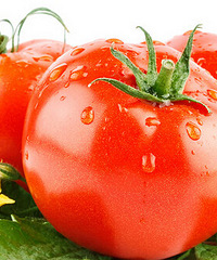 哺乳期能吃西红柿吗