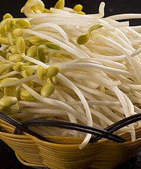 黄豆芽的做法大全,妈妈们来看看