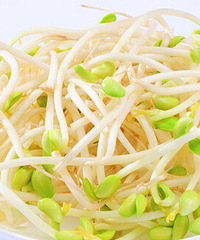 哺乳期能吃黄豆芽吗?妈妈们你们知道吗