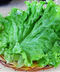 宝宝能吃生菜吗?你知道吗