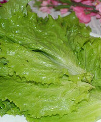 生菜的营养价值 生菜的适用人群