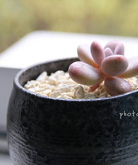 �ҵ���һ�����ٿ����ᡣ