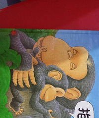 ���������ظ����ֵ����֣�����Ӷԡ�����������̵�ӡ��