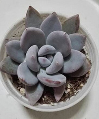 ���������Ȧ��һ���� ���Ƕ������ֹ�