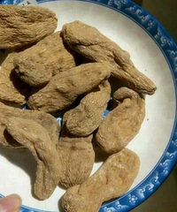 天麻功效与妙用