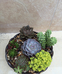 �ҵ�������