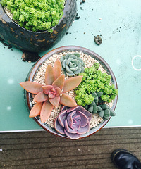 ���������Ȧ��һ����ϲ�����������