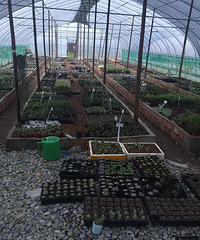 ���������Ȧ��һ����ϲ�����������