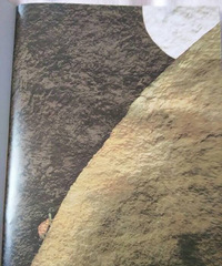 ��������ζ�����򿪺��ӵ�������