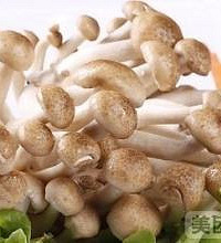 哺乳期能吃蟹味菇吗?蟹味菇的营养及功效?