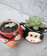 ��������⻨��Ȧ��һ����+ɹɹ���Ѿ����ϵ�����