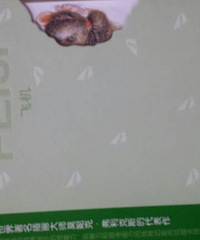 �������顷������������֮��