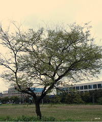 �� �� �� �� �� �� �� �� �� ��˭