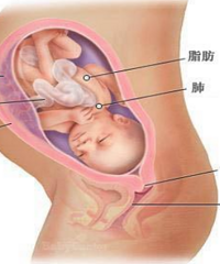 "如何快速检测怀孕,你知道吗?"