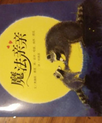 ��ħ�����ס����Ӳ������ߵ�ʱ������Ǹ���������