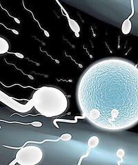 精子活力 精子活力低怎么办