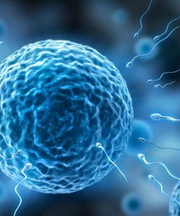 精子成活率低怎么办 怎样提高精子质量