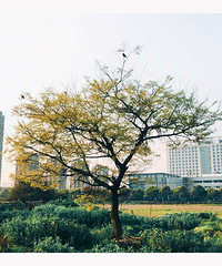 �����ǵڼ�����