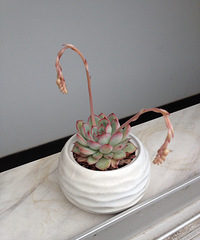 �ҵĶ�����ô������