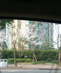 ���Ҹ�Լ��������𣿡�ǩ����