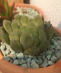 �����ж�����ӽ�����