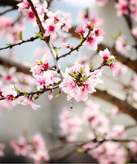 ���ܴ���ȥ��