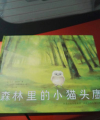 ��ɭ�����Сèͷӥ�����������Ķ���ʱ��ֱ�Ӷ��汾