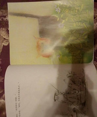 ���͸ʲ���ȥ�κӡ���������ｲ���˹��