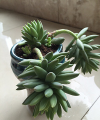 ɹɹ�ҵ�������