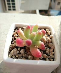 �ջ���ȴ�в�һ��������