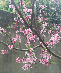 �з�����