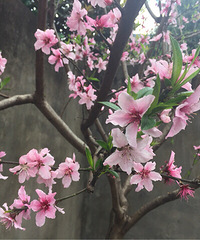 �з�����