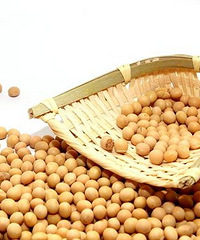 哺乳期能吃黄豆吗?哺乳期吃黄豆下奶?