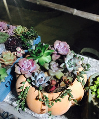 �����ǳ����ˣ�����������