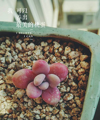 �һ��֤���ÿһ��