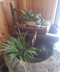 ˮ���ѣ�ɽ���ڵ�Ұ�ݣ�����������Ҳ������